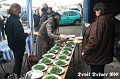 SWR-Grillen 2012-023